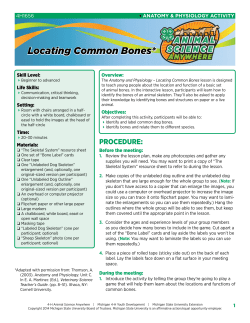 Locating Common Bones - MSU Extension