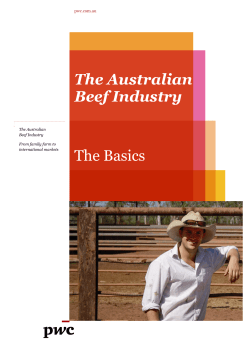 Australian-Beef-Industry-Nov11