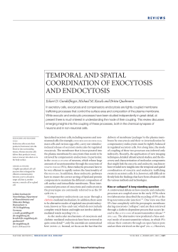 TEMPORAL AND SPATIAL COORDINATION OF EXOCYTOSIS AND
