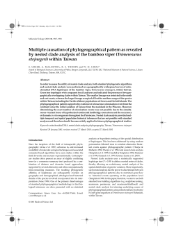 Multiple causation of phylogeographical pattern as revealed by