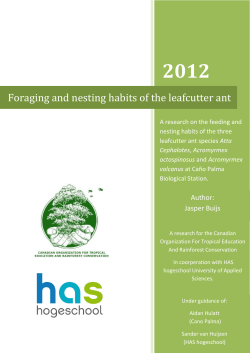 Foraging and nesting habits of the leafcutter ant