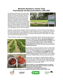 Manitoba Strawberry Variety Trials