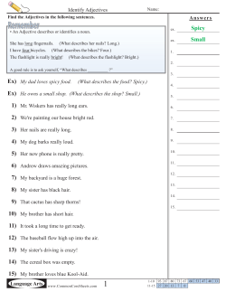 Identify Adjectives - Common Core Sheets