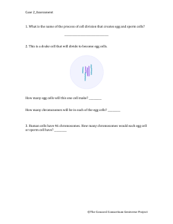 Case 2_Assessment 1. What is the name of the process of cell