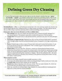 executive summary - Green Inside and Out