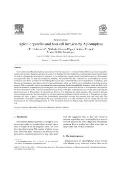 Apical organelles and host!cell invasion by Apicomplexa