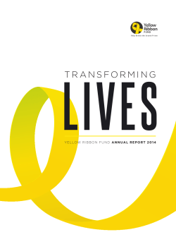 YRF Annual Report 2014