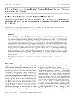 Effect of Anatomy on Human Nasal Air Flow and