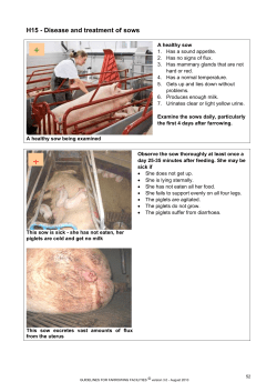 H15 - Disease and treatment of sows