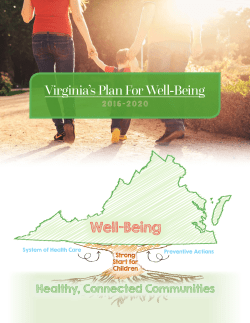 Virginia Plan for Well Being