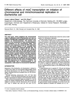 Different effects of mioC transcription on initiation of chromosomal