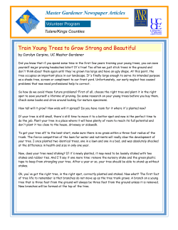 Master Gardener Newspaper Articles Train Young Trees to Grow