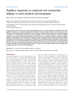 Pupillary responses to coloured and contourless displays in