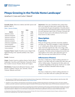 Pitaya Growing in the Florida Home Landscape - EDIS