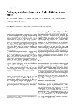 The karyotype of domestic waterfowl: Ducks &ndash; RBG chromosome