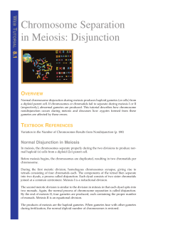 Chromosome Separation in Meiosis: Disjunction