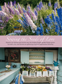 Sowing the Seeds of Love