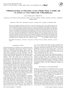 Pollination Ecology of Chloranthus serratus (Thunb.) Roem. et