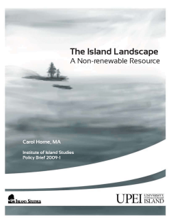 Horne, 2009 The Island Landscape