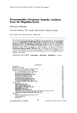 Paramunnidae (Crustaea: Isopoda: Asellota) from the Magellan Strait