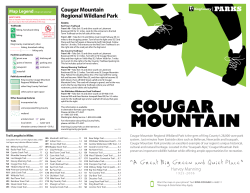 Cougar Mountain Regional Wildland Park