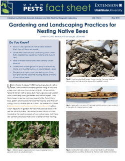 Gardening and Landscaping Practices for Nesting Native Bees