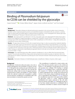 Binding of Plasmodium falciparum to CD36 can be
