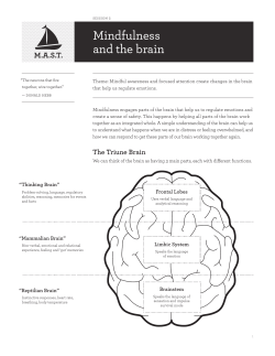 Mindfulness and the brain