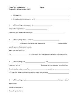 PowerPoint Guided Notes Name Chapter 1