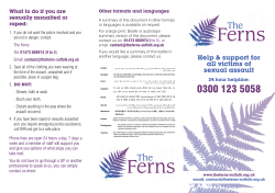 The Ferns: Help and support for all victims of sexual assault
