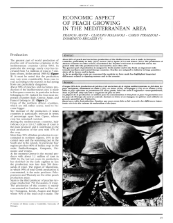 economic aspect of peach growing in the mediterranean area