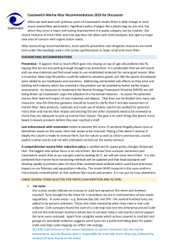 Coastwatch Marine litter Recommendations 2016 for Discussion