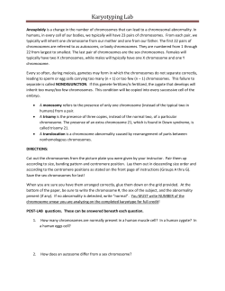 Karyotyping Lab