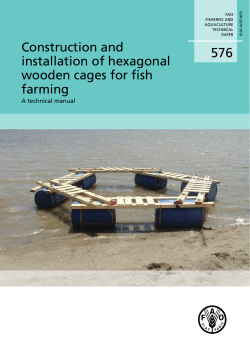 Construction and installation of hexagonal wooden cages for fish