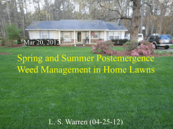 Spring and Summer Postemergence Weed Management