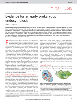 Evidence for an early prokaryotic endosymbiosis