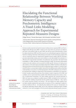 Elucidating the Functional Relationship Between Working Memory
