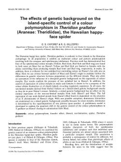 island-specific control of a colour polymorphism in Theridion grallator