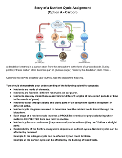 Story of a Nutrient Cycle Assignment (Option A