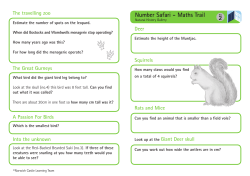 2 Number Safari - Maths Trail