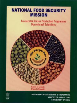 Accelerated Pulses Production Programme Operational Guidelines