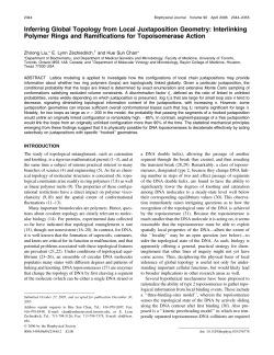 Inferring Global Topology from Local Juxtaposition Geometry