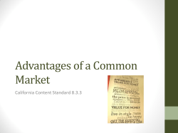 8.3.3 Advantages of a Common Market