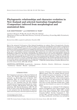 Phylogenetic relationships and character evolution in New Zealand