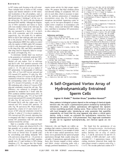 A Self-Organized Vortex Array of Hydrodynamically Entrained