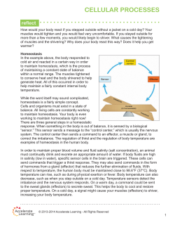 cellular processes