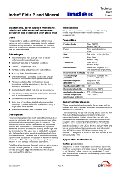 Index&reg; Fidia P and Mineral