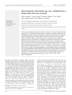 Gemmobacter intermedius sp. nov., isolated from a white stork