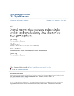 Diurnal patterns of gas-exchange and metabolic pools in tundra