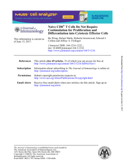 Differentiation into Cytotoxic Effector Cells Costimulation for